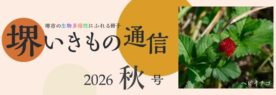 sakaiikimonotsushin9